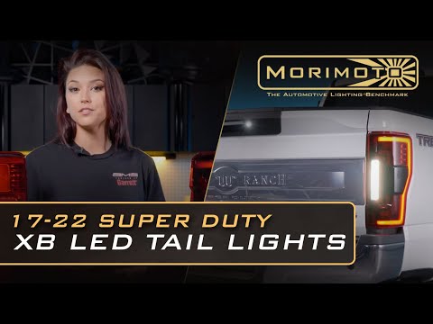 Feux arrière à LED pour Ford Super Duty (17-22) XB (fumés)