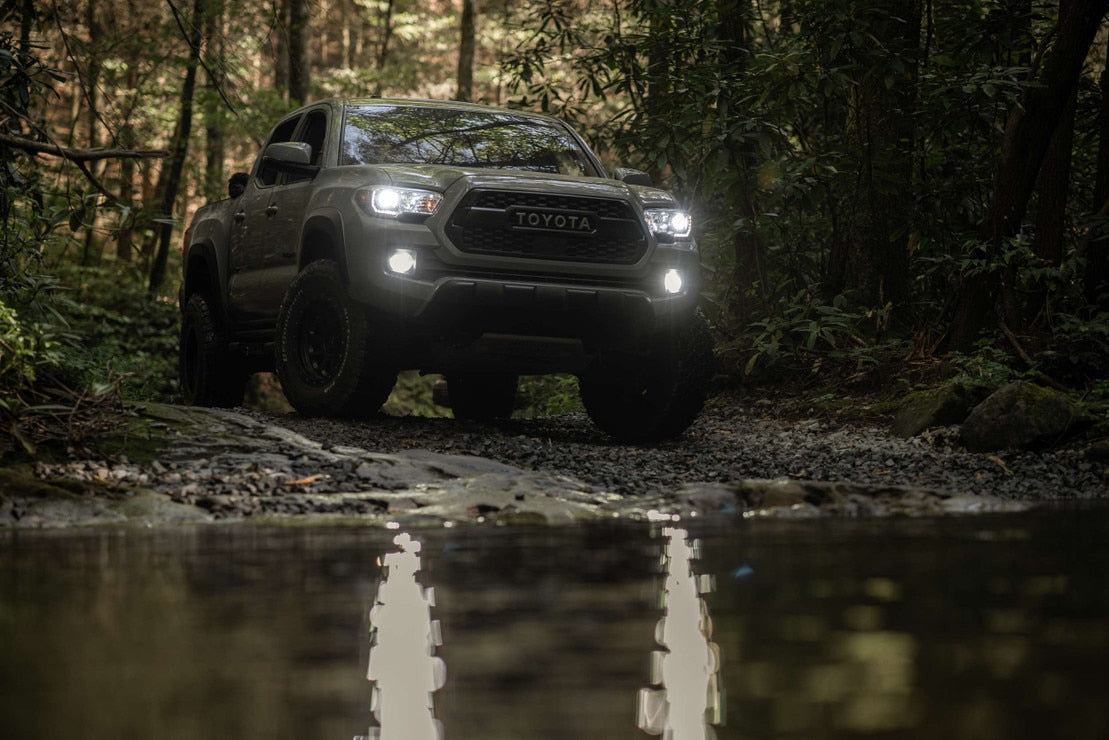 D2H Morimoto 2Stroke 4.0 Led Bulb (single)