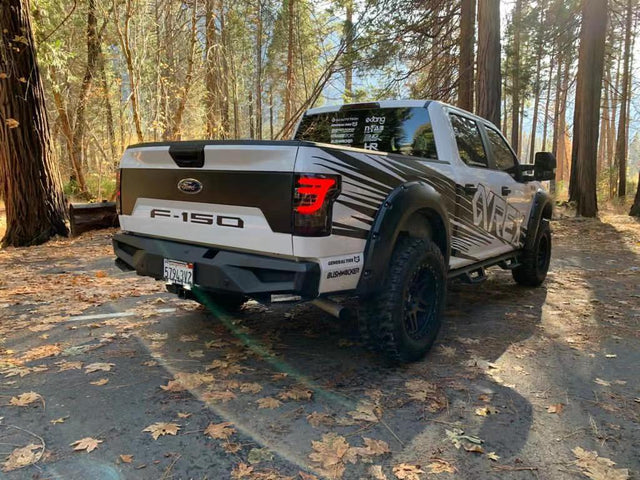 Feux arrière à LED Ford F150 PRO-Series 15-20, fumée rouge