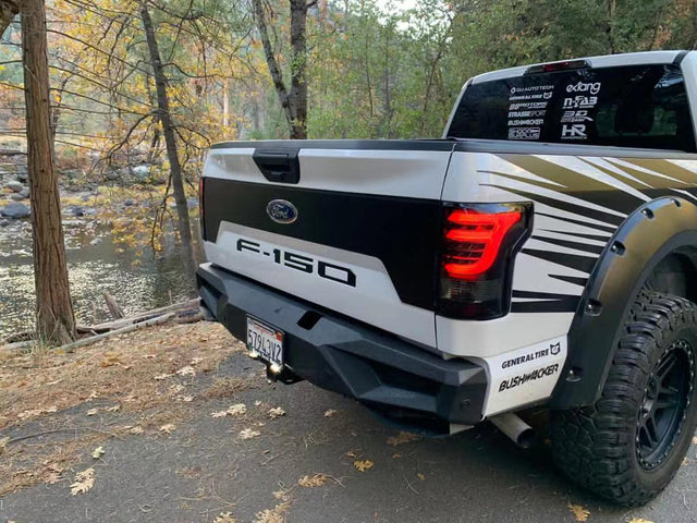 Feux arrière à LED Ford F150 PRO-Series 15-20, fumée rouge