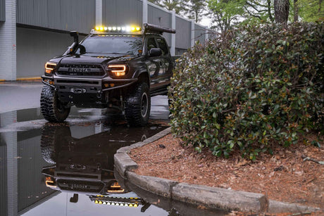 2Banger Bar : 10 dosettes / 40"