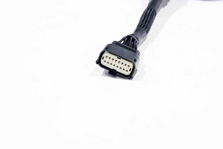 XBG Adapter Harness: 21-23 F-150 OE Projector LED