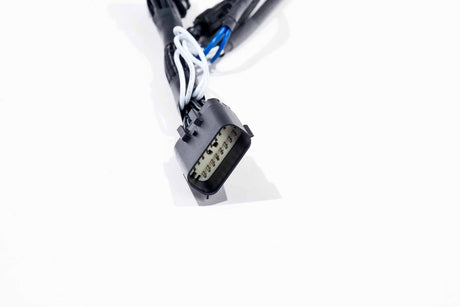 XBG Adapter Harness: 21-23 F-150 OE Projector LED