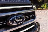 Ford Super Duty Platinum (20-22) XBG LED Grille Inserts