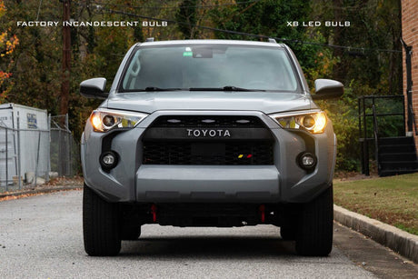 4257: XB Single Colour LED Bulbs (Resistor-Free)