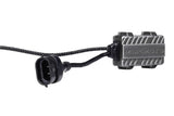 H8 Morimoto 2Stroke 4.0 Led Bulb (single)