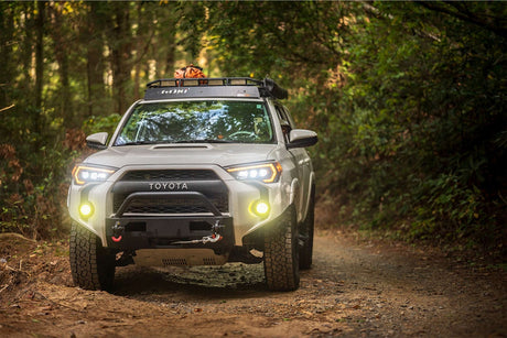 H8 Morimoto 2Stroke 4.0 Led Bulb (single)