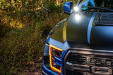 Ford Raptor (17-20) Ditch Light Brackets