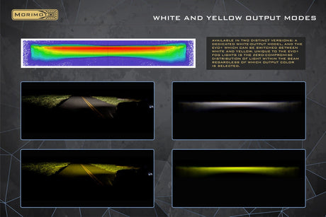 Feux antibrouillard à LED LEXus (ovale) XB EVO+