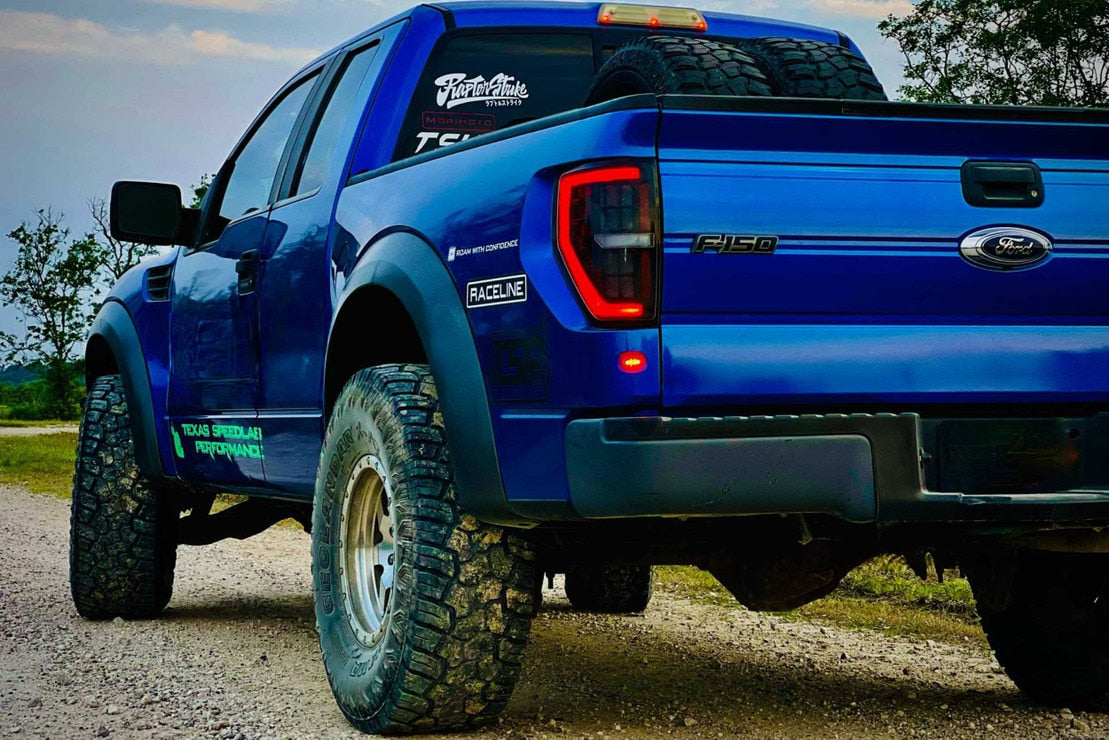 Feux arrière à LED XB pour Ford F-150 (09-14) (fumés)