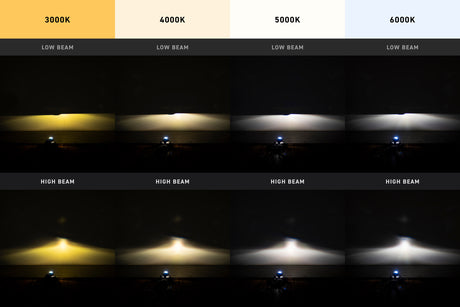 Bi-Xénon : Morimoto Mini H1 8.0 (simple)