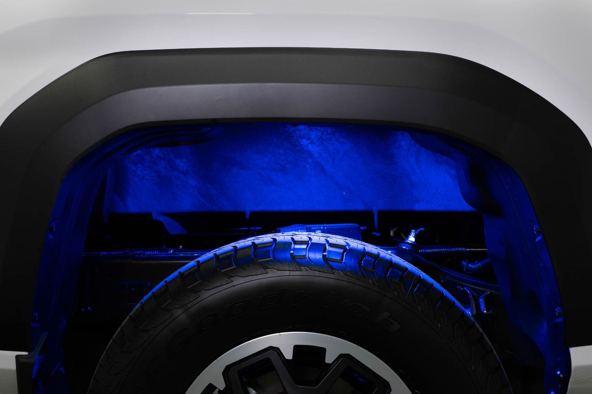 Stage Series RGBW LED Rock Light Kit (12-pack)