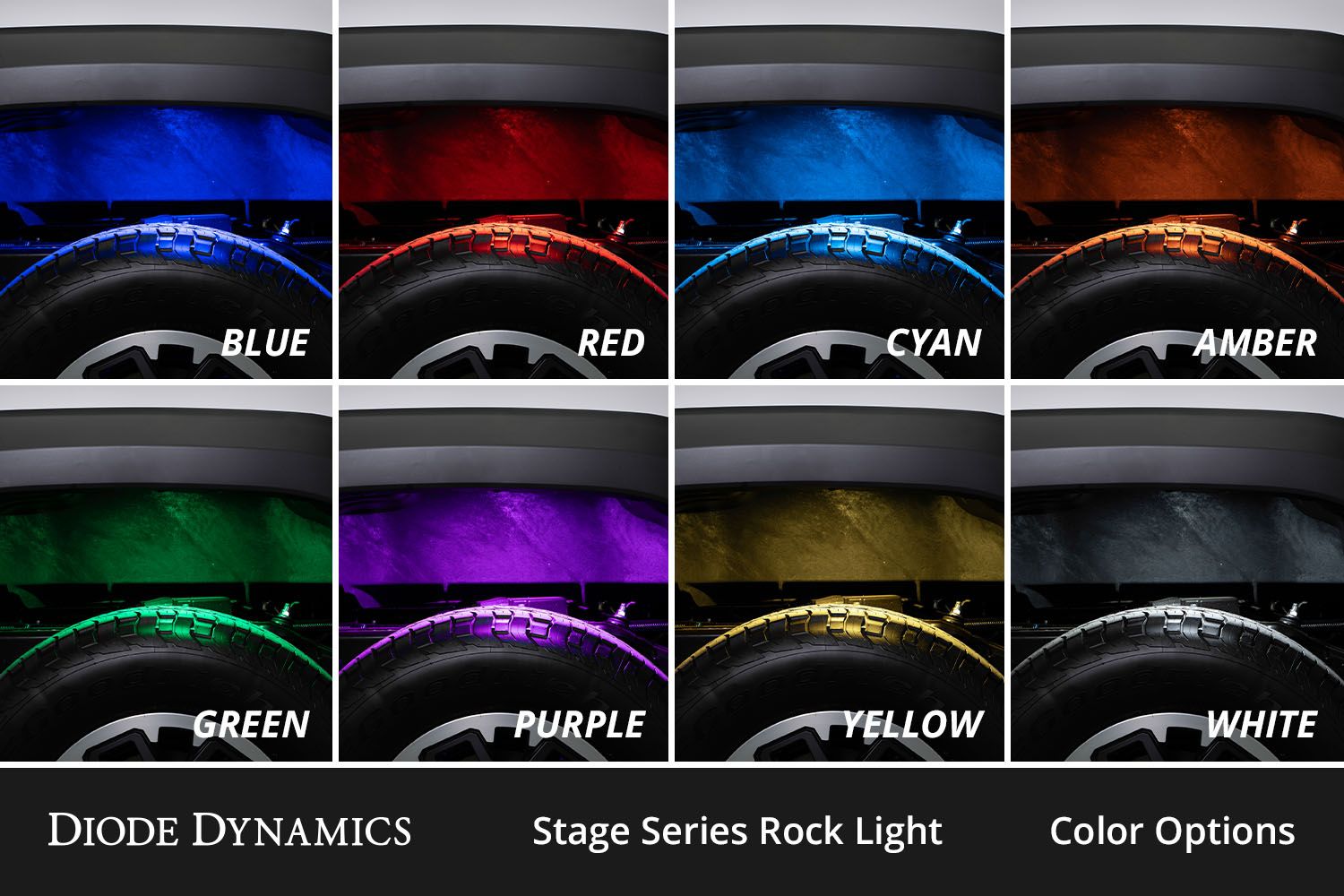Stage Series RGBW LED Rock Light Kit (12-pack)