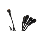 Morimoto Rock Light  Splitter (RBG)