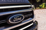 Ford Superduty Platinum (20-22): MORIMOTO XBG LED GRILLE Inserts