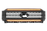 FORD F-150 (21-24) : GRILLE DRL MORIMOTO XBG LED
