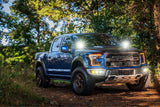 Ford Raptor (17-20) : Kit d'éclairage de fossé Morimoto 4Banger