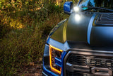 Ford Raptor (17-20) : Kit d'éclairage de fossé Morimoto 4Banger